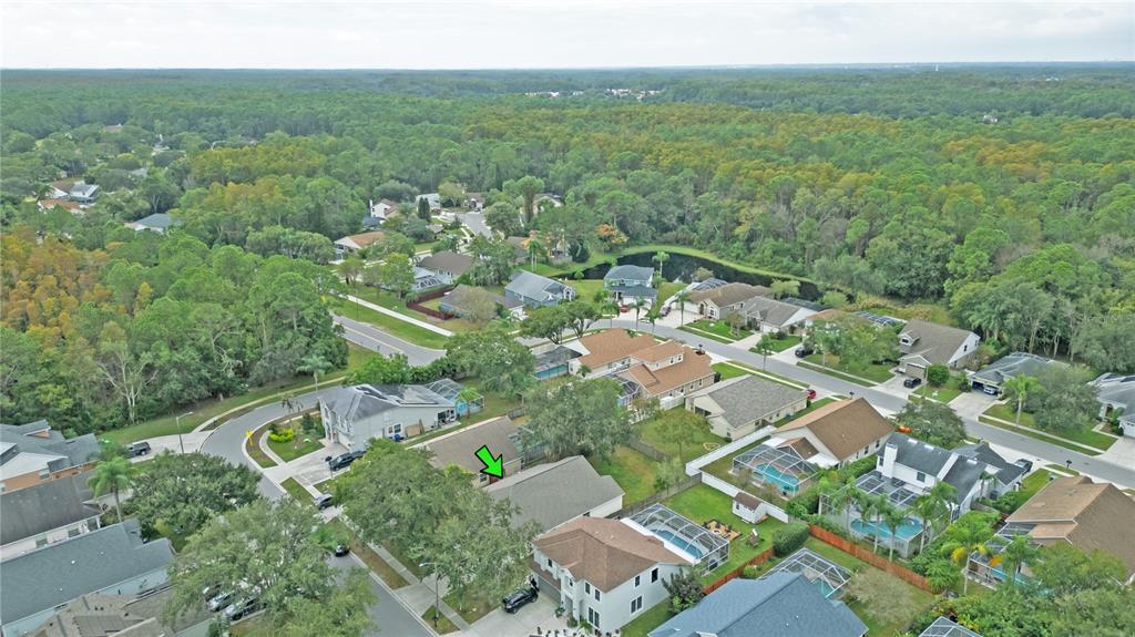 4768 Ridgemoor Circle Palm Harbor, FL 34685 - Photo 37 of 41 an aerial view of a