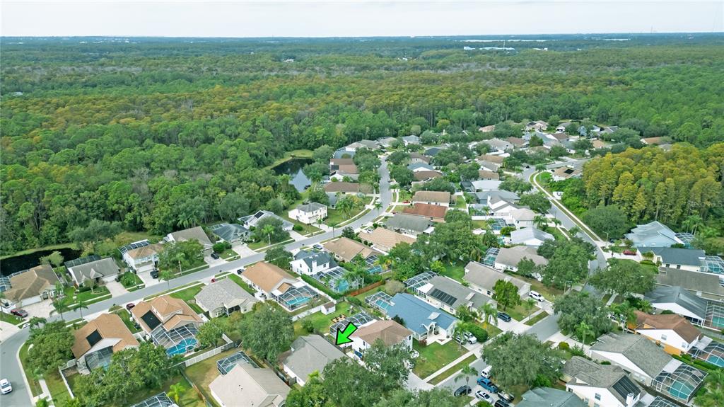 4768 Ridgemoor Circle Palm Harbor, FL 34685 - Photo 38 of 41 a view of a city