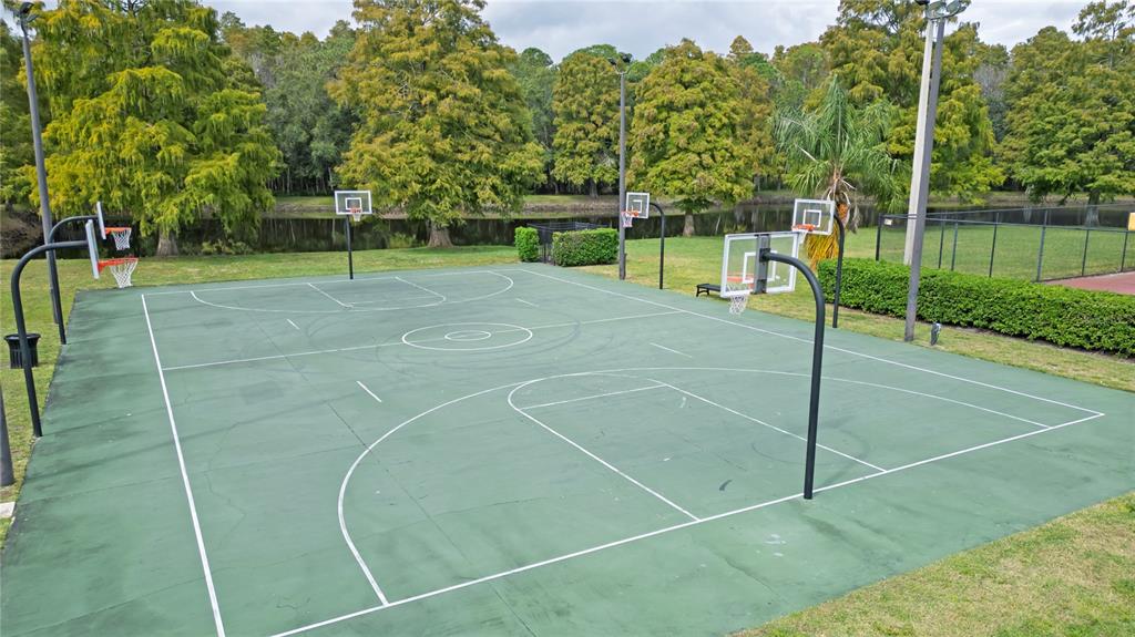 4768 Ridgemoor Circle Palm Harbor, FL 34685 - Photo 40 of 41