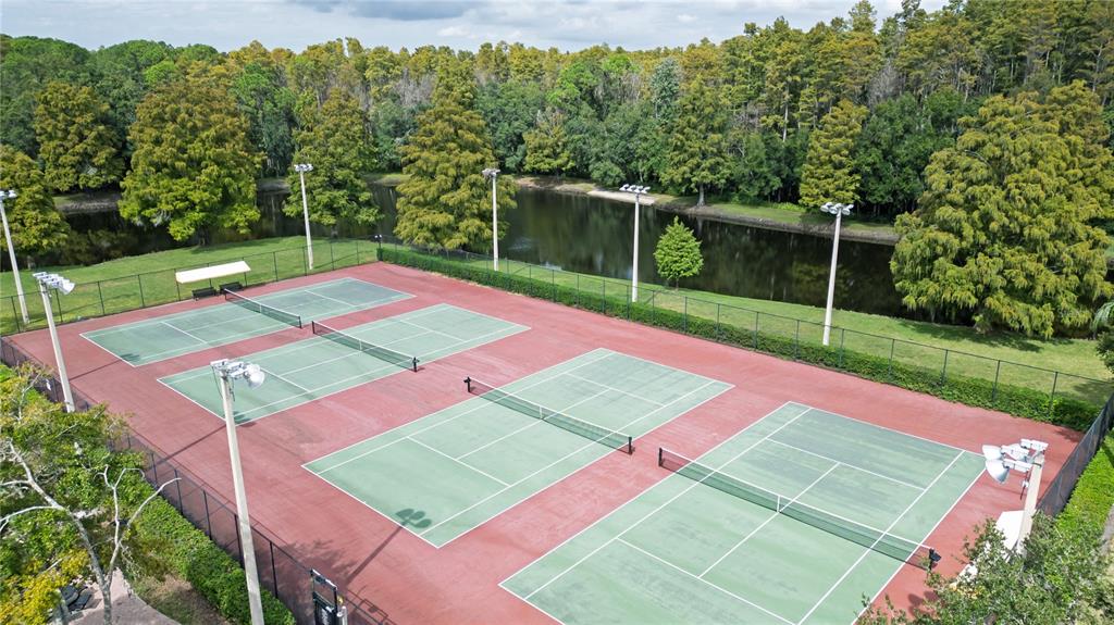 4768 Ridgemoor Circle Palm Harbor, FL 34685 - Photo 41 of 41 a view of a tennis ground with a large trees