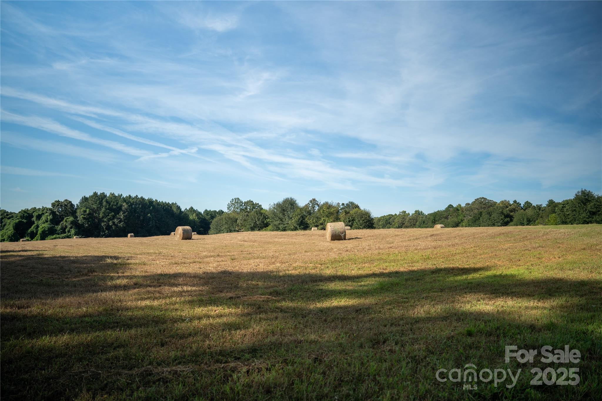 2557 Beth Haven Church Road Denver, NC 28037 - Photo 3 of 15