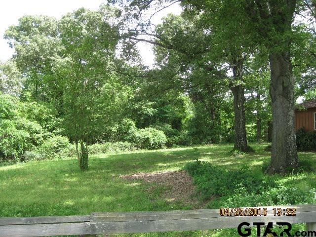 4452 Turtle Road Pittsburg, TX 75686 - Photo 4 of 9