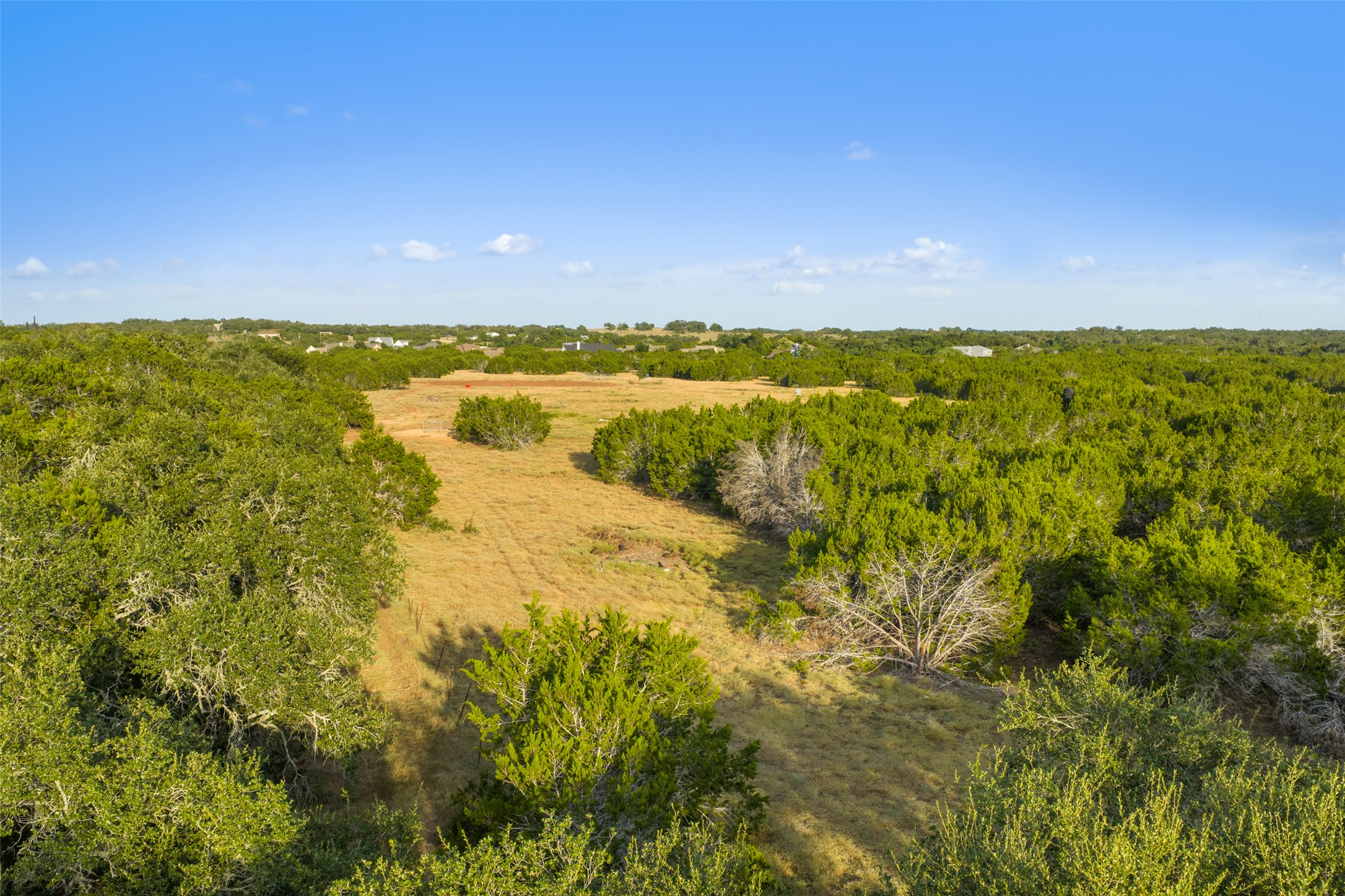 0 Hays Country Acres Road Dripping Springs, TX 78620 - Photo 16 of 33 Mature trees frame expansive views of the surrounding natural landscape and open sky.