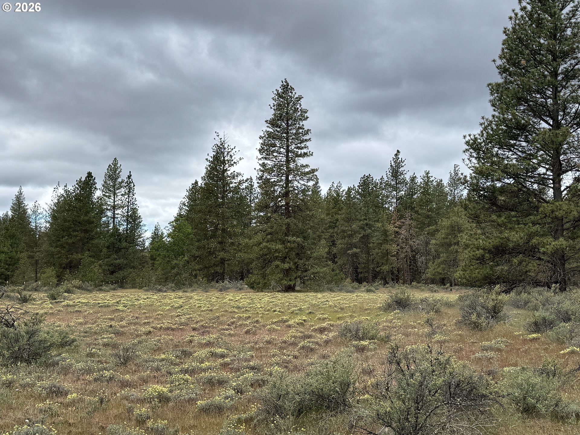 Old Mountain Road Goldendale, WA 98620 - Photo 26 of 41
