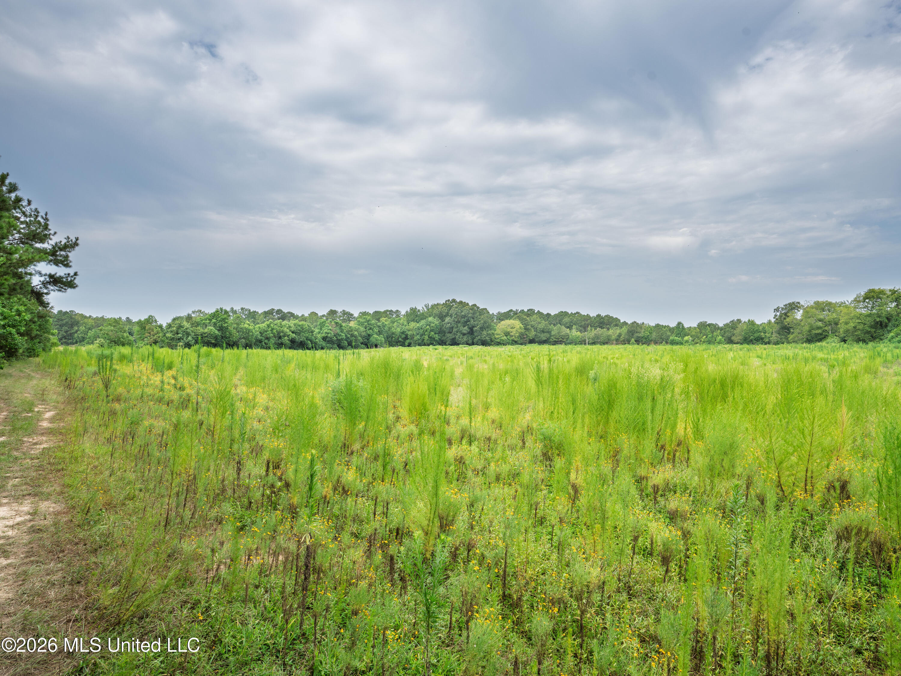 Spring Street Taylorsville, MS 39168 - Photo 41 of 57 A7404370