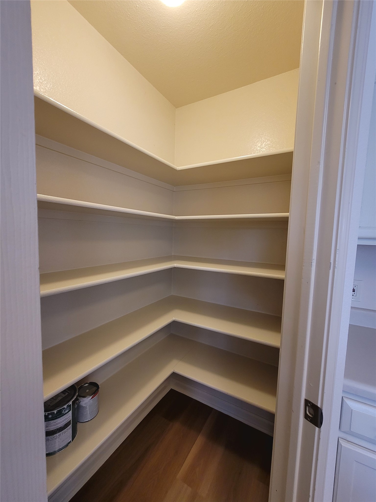3629 Ruby Red Drive Austin, TX 78728 - Photo 12 of 35 Walk-in pantry
