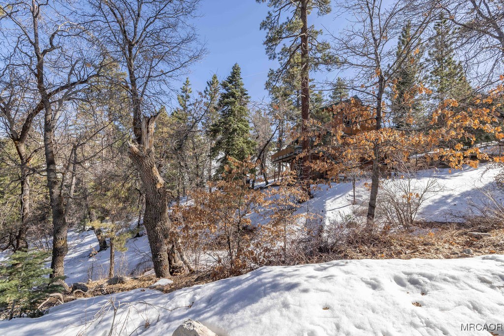 0 Pigeon Road Big Bear Lake, CA 92315 - Photo 6 of 19 a view of a yard covered with snow in the background