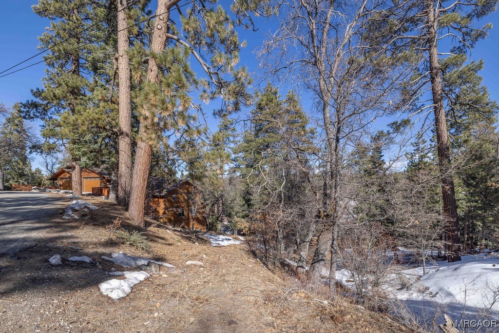 0 Pigeon Road Big Bear Lake, CA 92315 - Photo 7 of 19 a view of a yard with trees