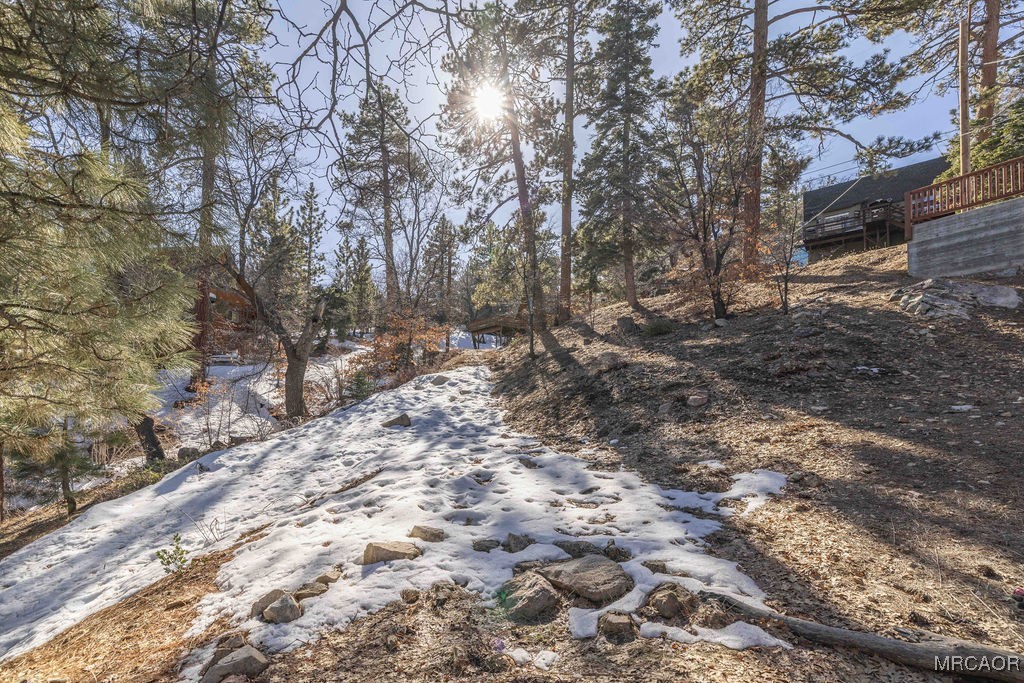 0 Pigeon Road Big Bear Lake, CA 92315 - Photo 8 of 19 a view of a forest with trees