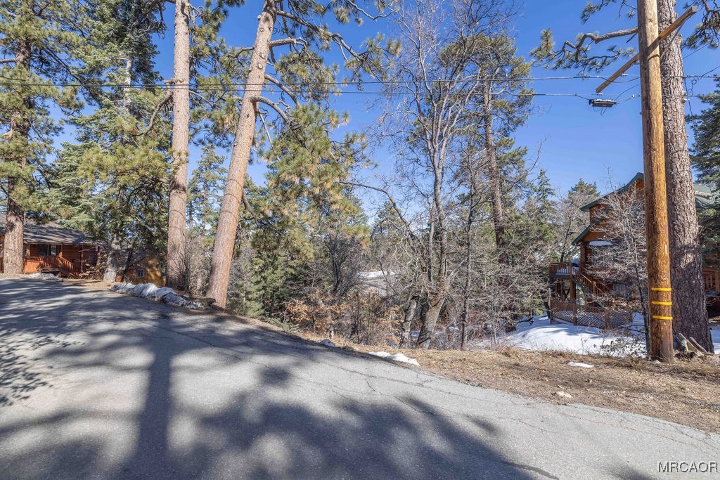 0 Pigeon Road Big Bear Lake, CA 92315 - Photo 10 of 19 a view of a road with plants and trees