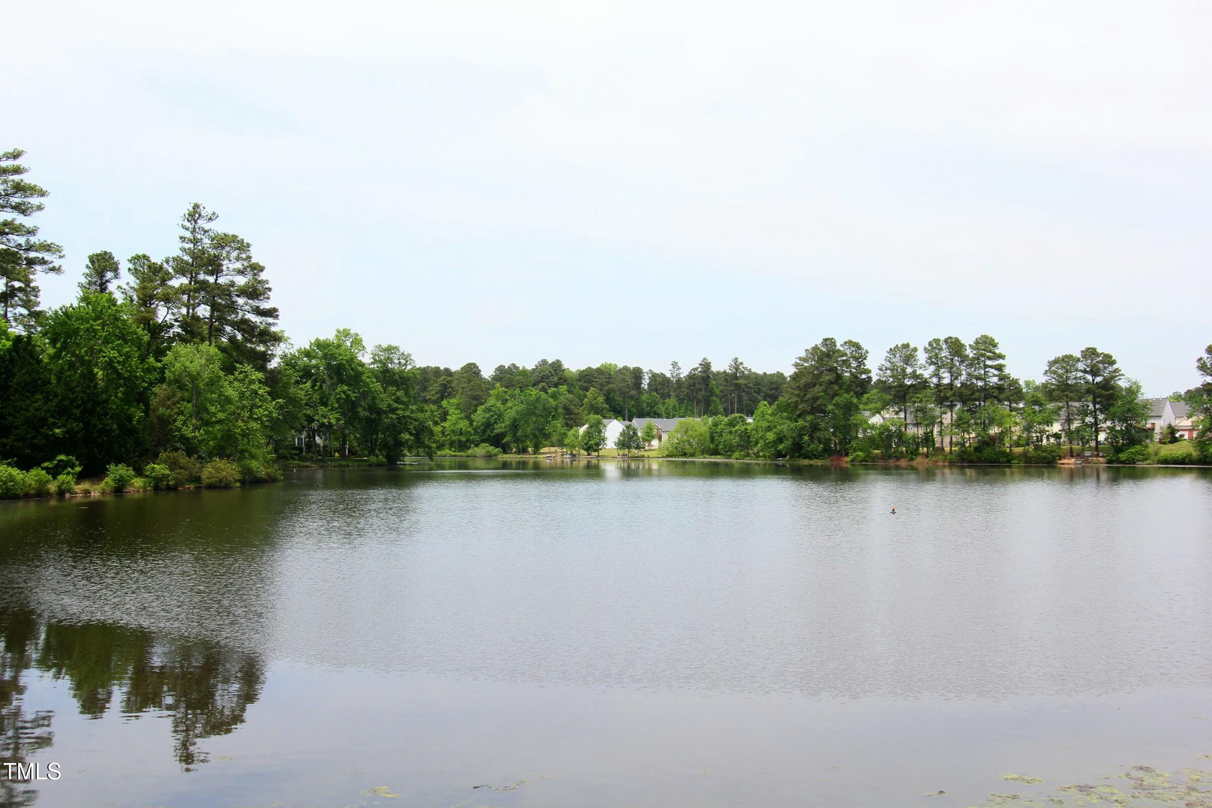 2133 Persimmon Ridge Drive Raleigh, NC 27604 - Photo 29 of 33 tempImagelhXPlH