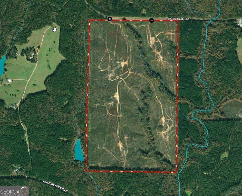 247.86-ac Barnes Mill Road Hamilton, GA 31811 - Photo 1 of 1 Gallery Image 1