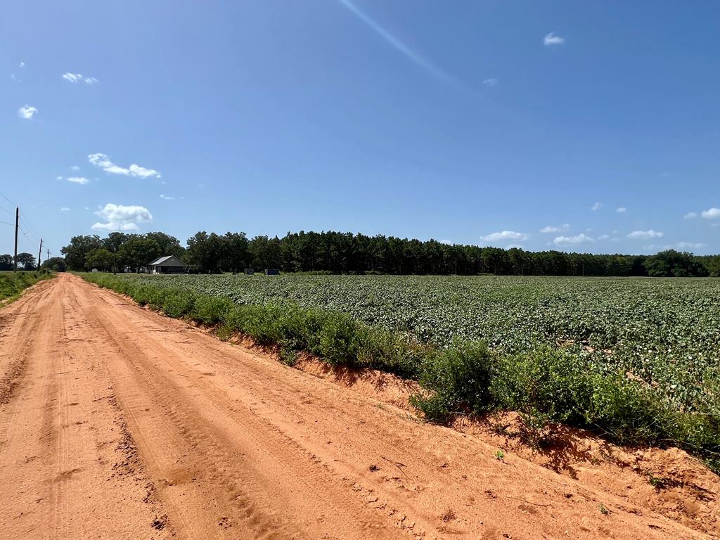 9-ac High Bluff Road Slocomb, AL 36375 - Photo 5 of 10