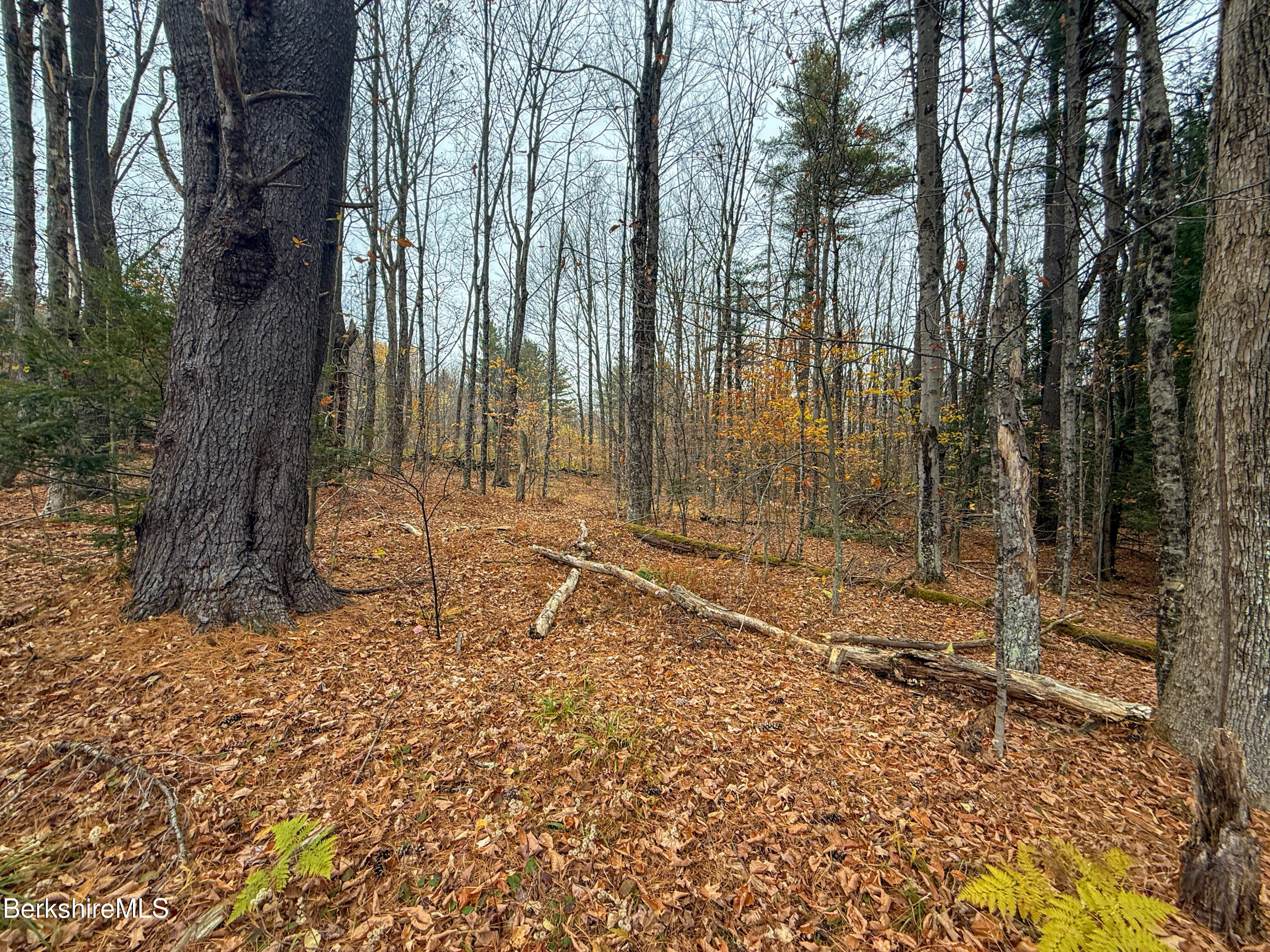 Lot10 Benton Hill Road Becket, MA 01223 - Photo 3 of 8 LOT 10 BENTON HILL ROAD