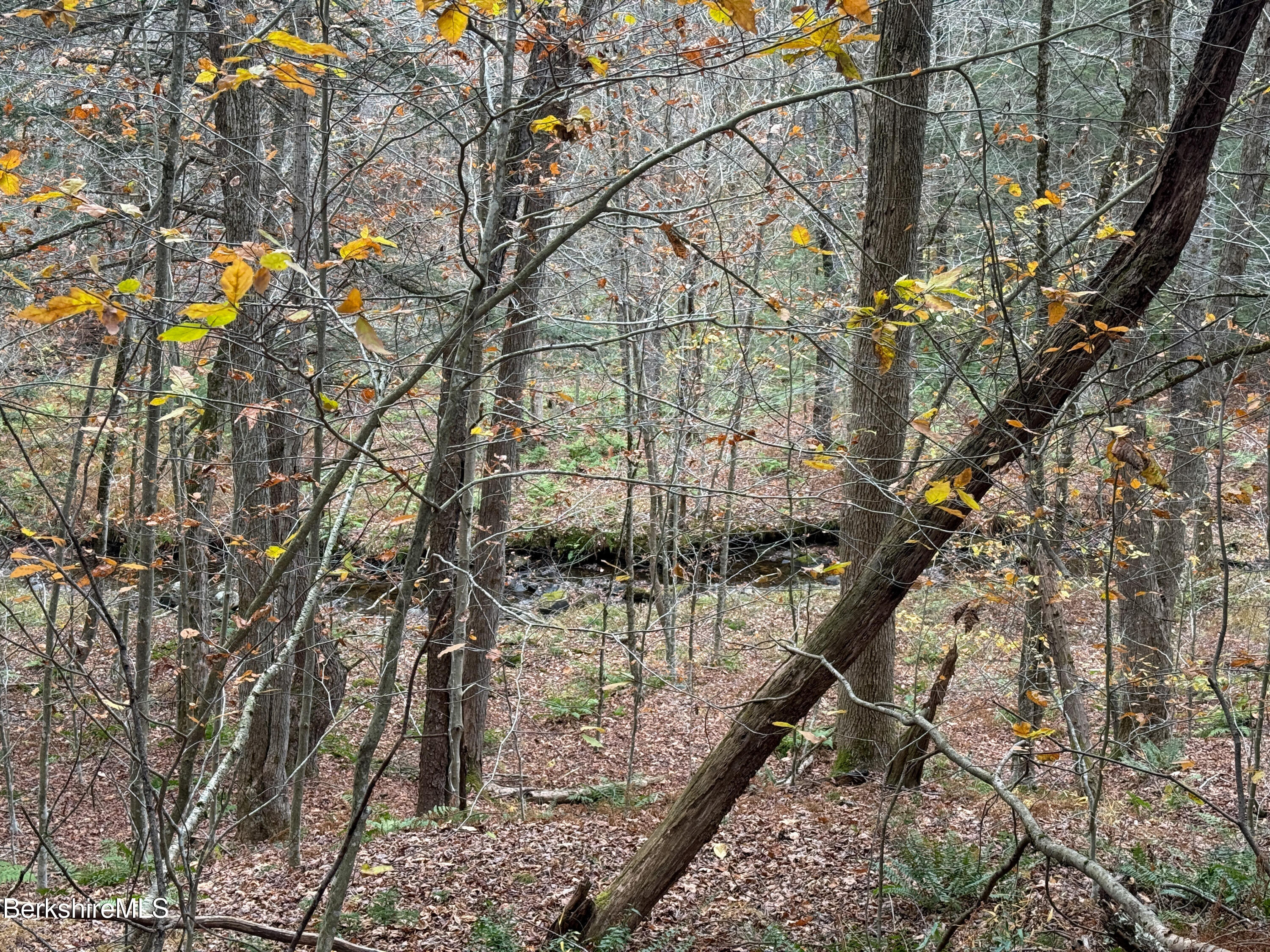 Lot10 Benton Hill Road Becket, MA 01223 - Photo 5 of 8 LOT 10 BENTON HILL ROAD