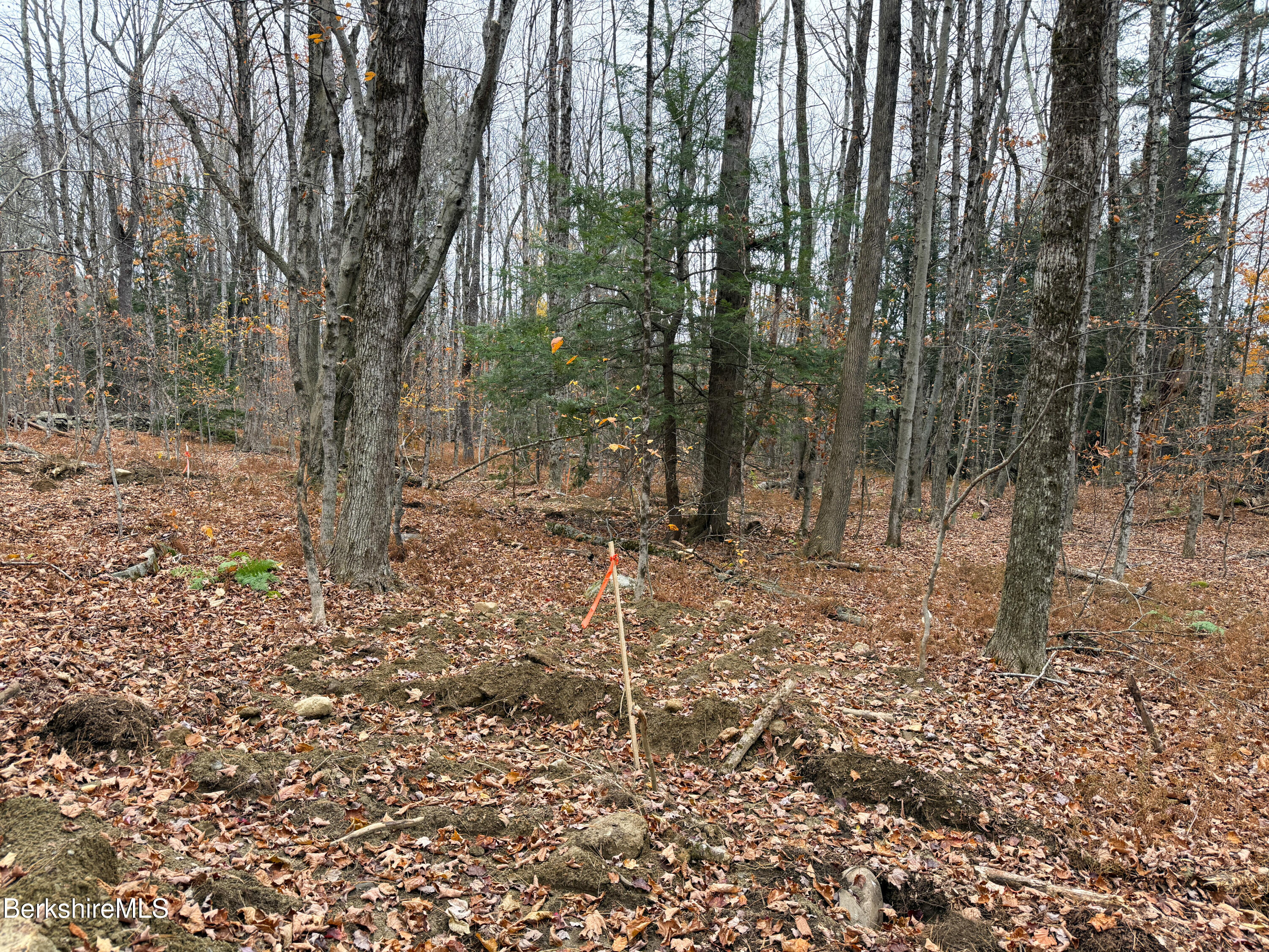 Lot10 Benton Hill Road Becket, MA 01223 - Photo 7 of 8 LOT 10 BENTON HILL ROAD