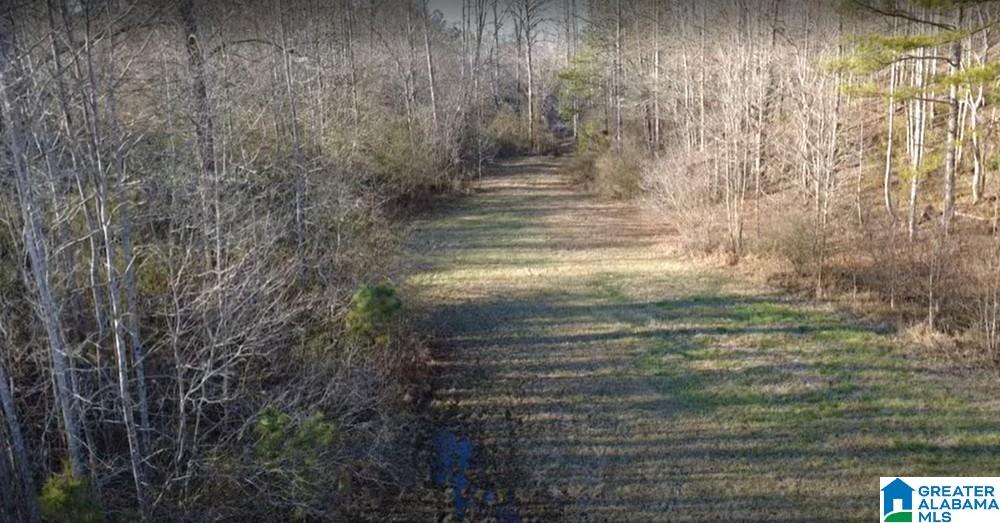 773 County Road 949, Unit 1 Fruithurst, AL 36262 - Photo 10 of 10