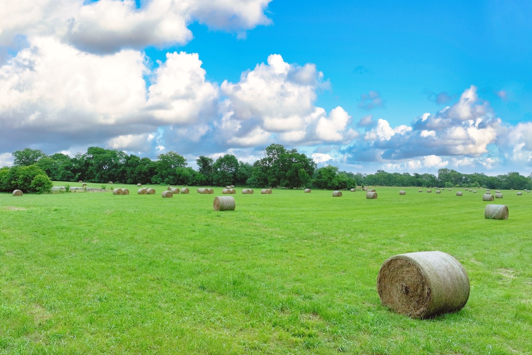 1 Deshea Creek Road Gallatin, TN 37066 - Photo 4 of 6 a view of a golf course with a garden