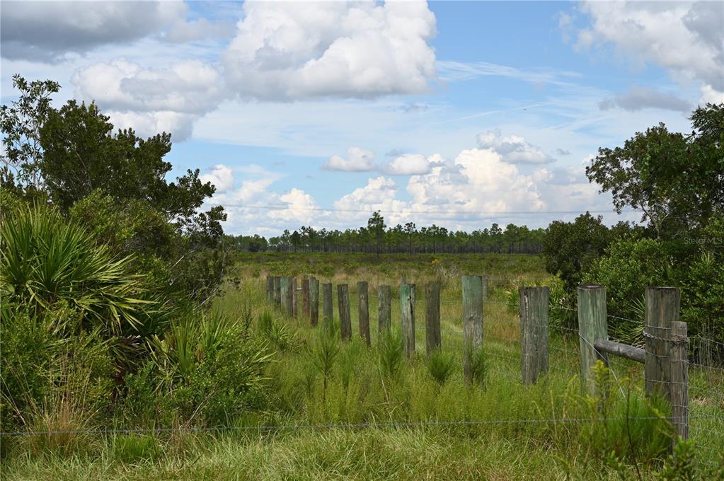 County Line Road East Fort Meade, FL 33841 - Photo 13 of 29 a view of lake with green space