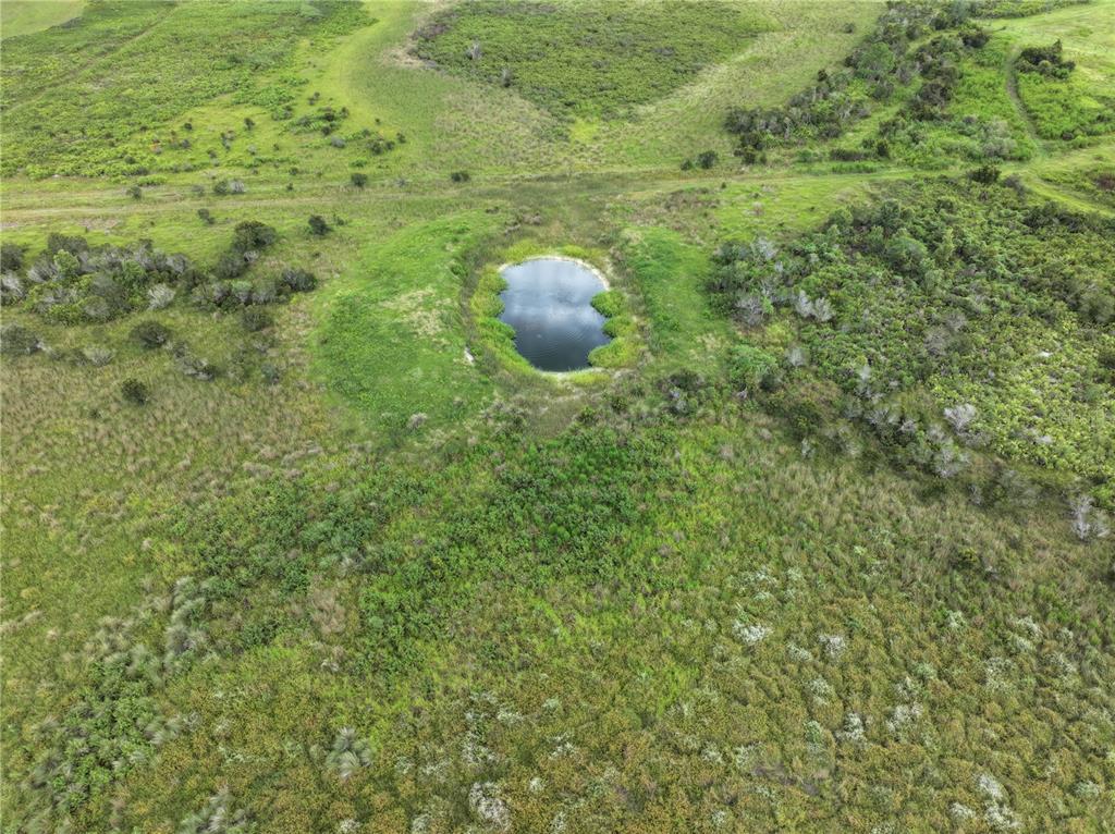 County Line Road East Fort Meade, FL 33841 - Photo 16 of 29 a view of a forest from a window