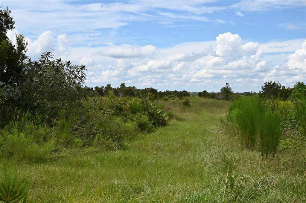 County Line Road East Fort Meade, FL 33841 - Photo 18 of 29 a view of a lake with a yard