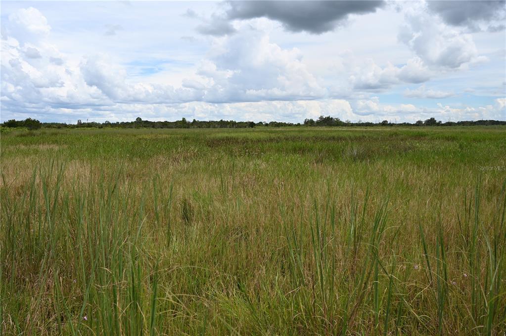 County Line Road East Fort Meade, FL 33841 - Photo 20 of 29 a view of an ocean