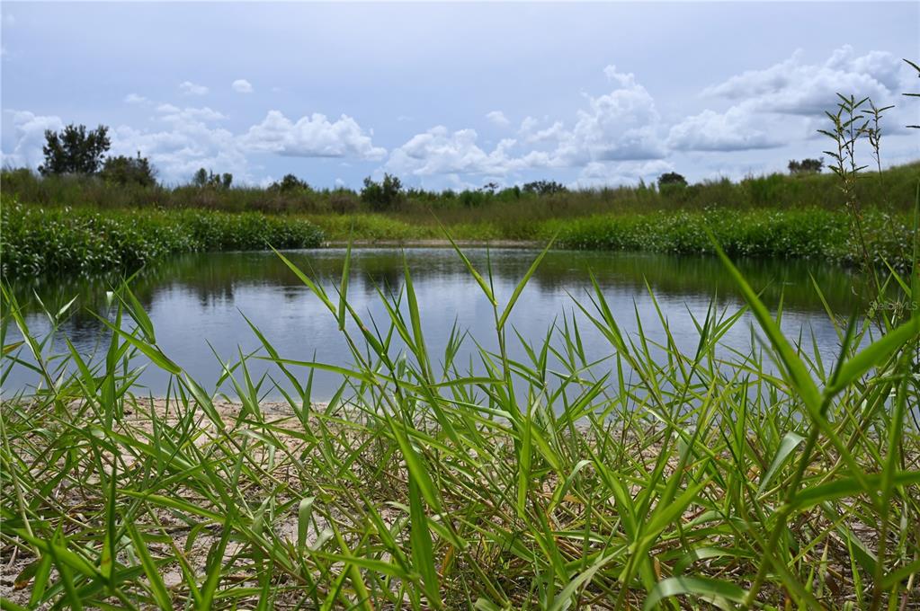 County Line Road East Fort Meade, FL 33841 - Photo 2 of 29 a view of a lake with a building in the back