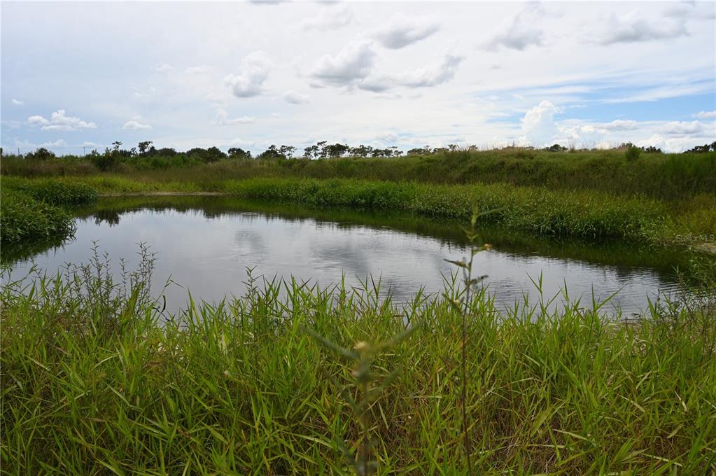 County Line Road East Fort Meade, FL 33841 - Photo 21 of 29 a view of a lake with houses in the back