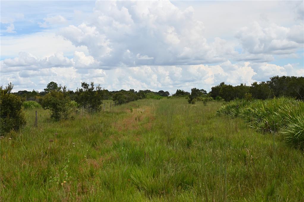 County Line Road East Fort Meade, FL 33841 - Photo 26 of 29 a view of a lake and green valley