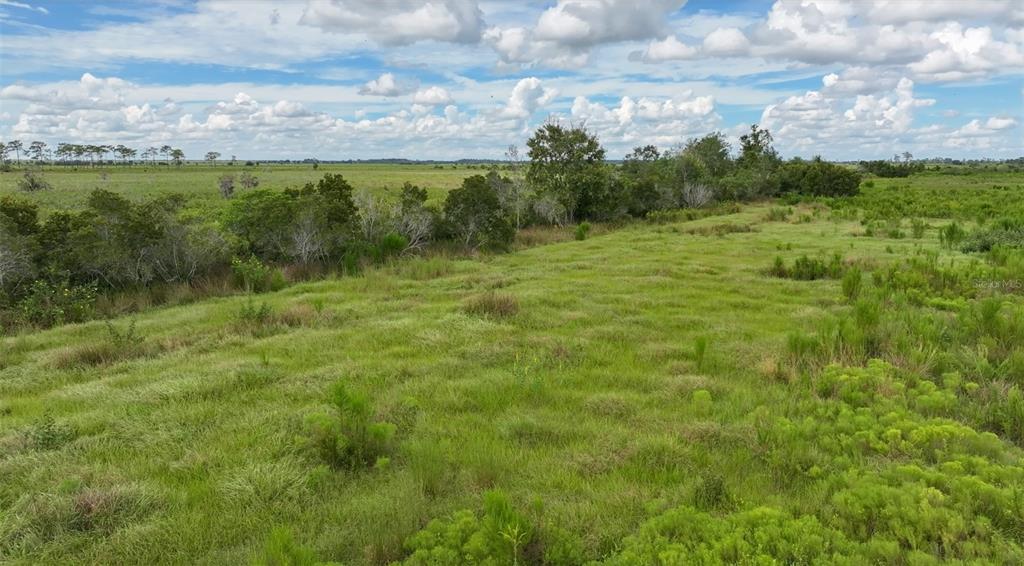 County Line Road East Fort Meade, FL 33841 - Photo 27 of 29 a view of a green field with clear sky
