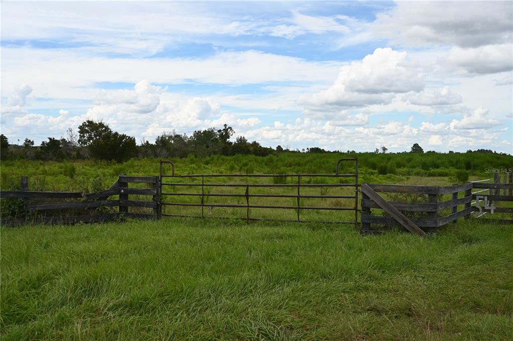 County Line Road East Fort Meade, FL 33841 - Photo 28 of 29 a view of a golf course with chairs