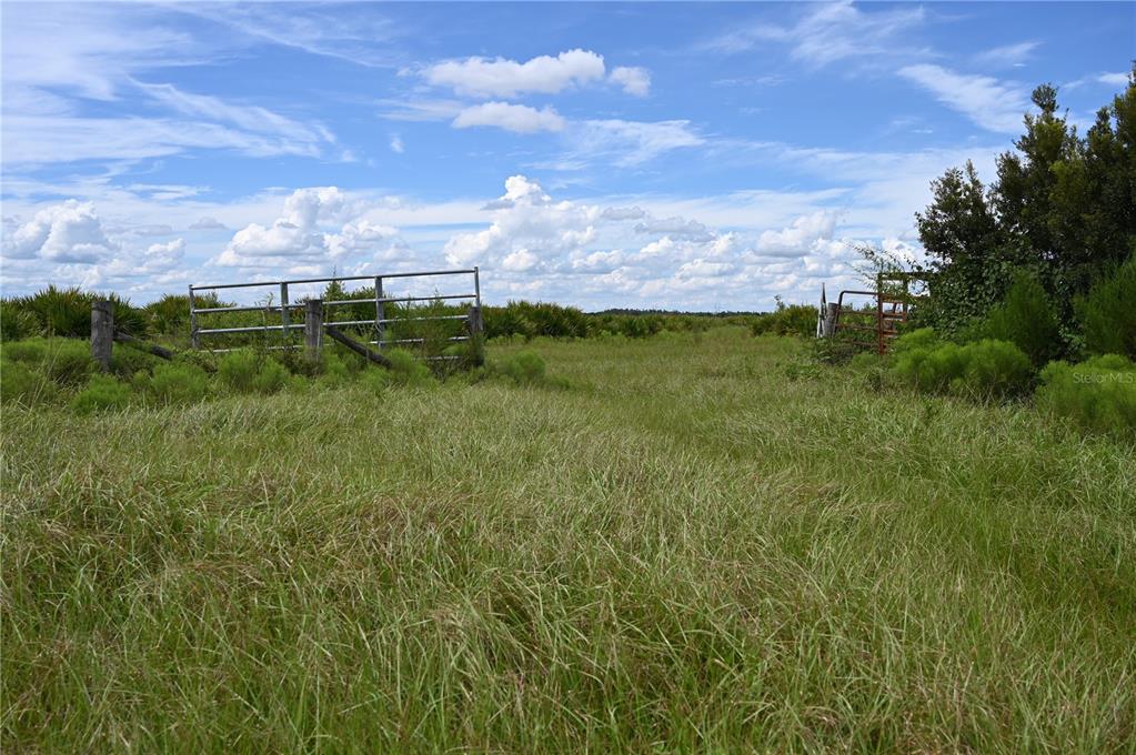 County Line Road East Fort Meade, FL 33841 - Photo 3 of 29 a view of a lush green field