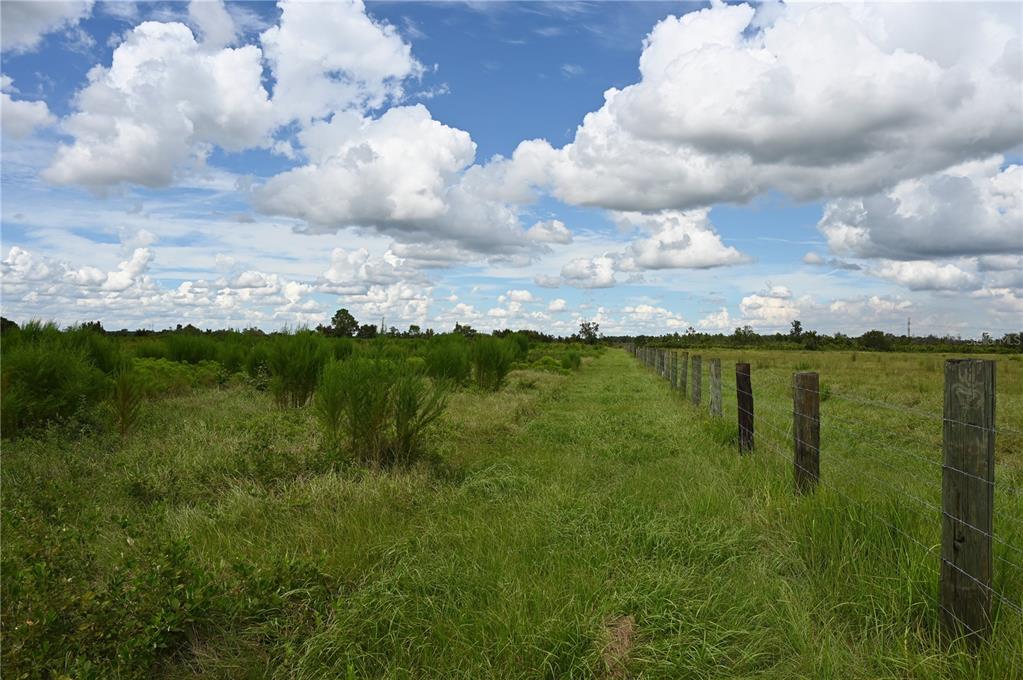 County Line Road East Fort Meade, FL 33841 - Photo 4 of 29 a view of lake with lots of green space