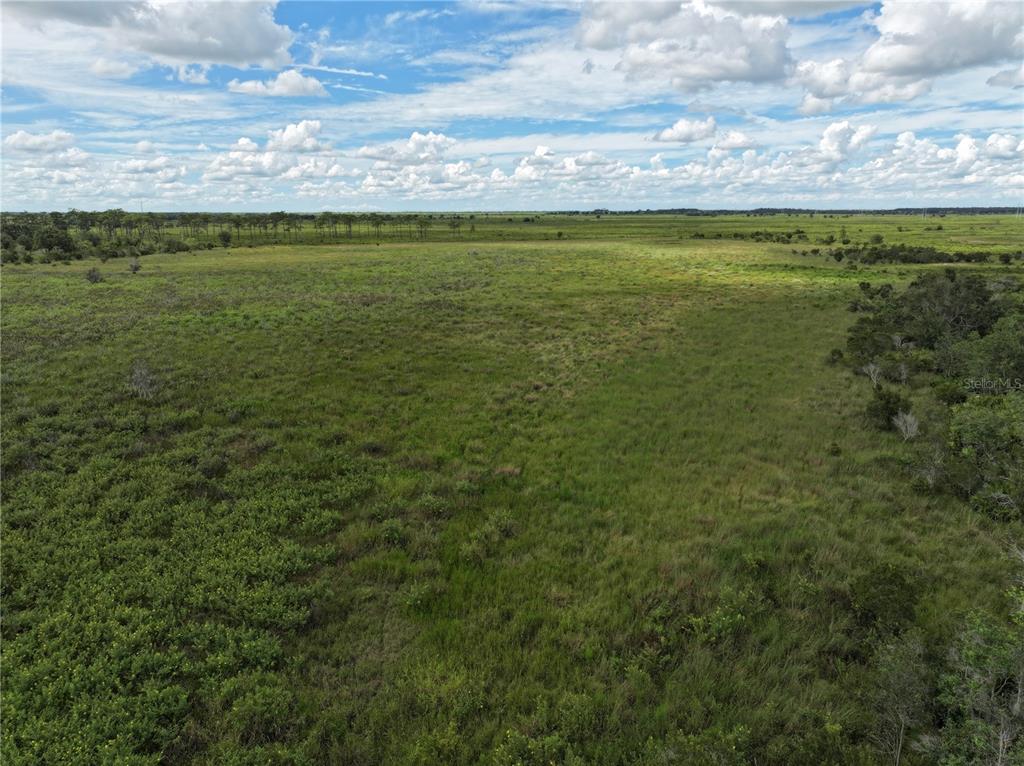 County Line Road East Fort Meade, FL 33841 - Photo 6 of 29 a view of an ocean and a yard