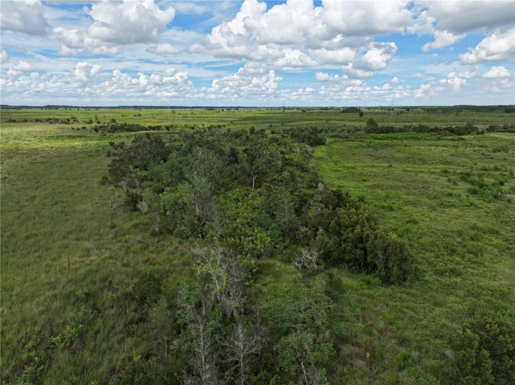 County Line Road East Fort Meade, FL 33841 - Photo 7 of 29 a view of yard with ocean