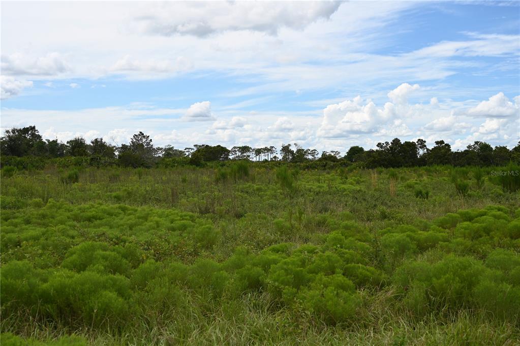 County Line Road East Fort Meade, FL 33841 - Photo 10 of 29 a view of a lake with houses in the back