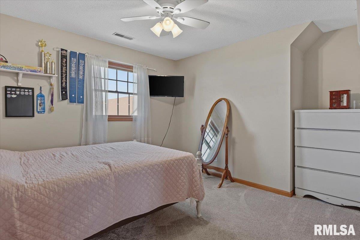 20205 North 20th Avenue Nokomis, IL 62075 - Photo 32 of 88
