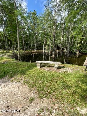 3887 Anders Road Caryville, FL 32427 - Photo 22 of 26 Gallery Image 22