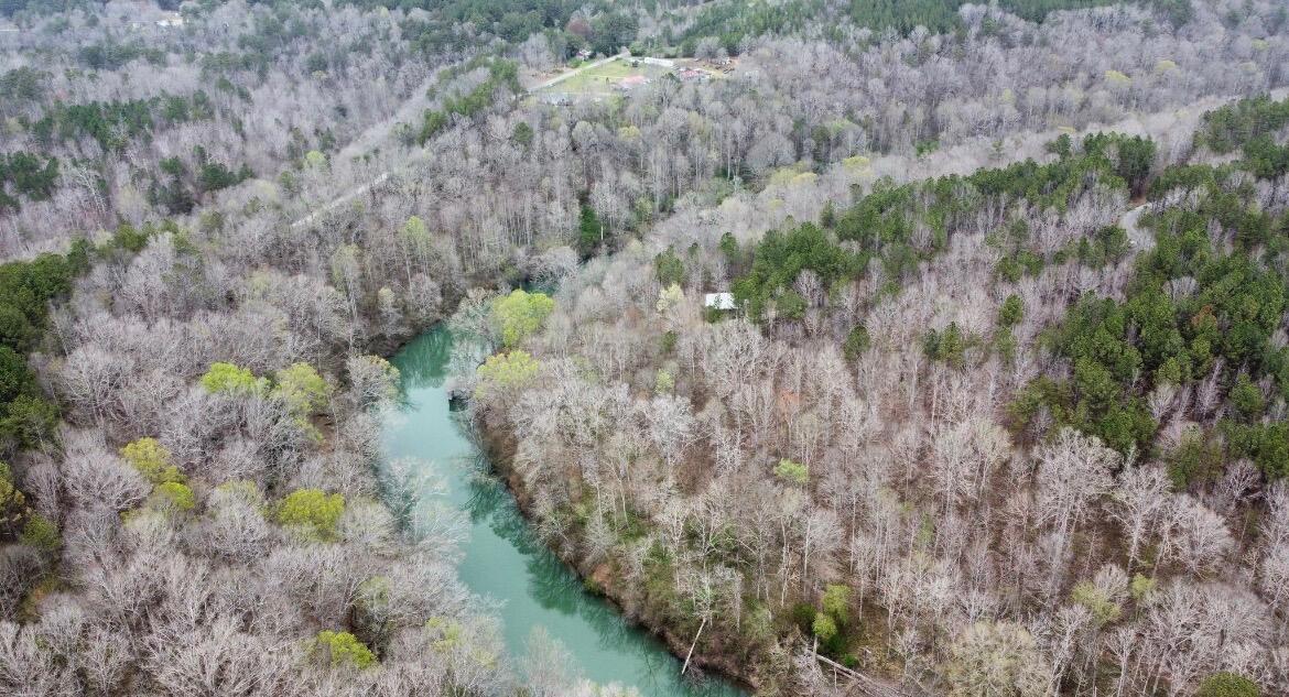 606 Turkey Bend Addison, AL 35540 - Photo 3 of 29 IMG_6739