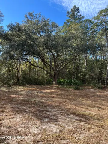 $80,000 | 0 Orchid Lane, Freeport, FL 32439