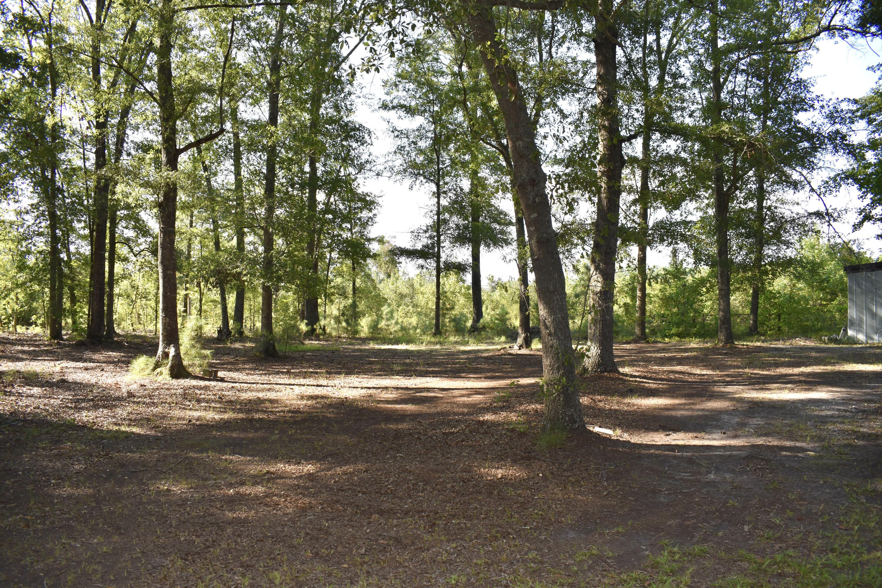 1701 Rogers Road Summerton, SC 29148 - Photo 12 of 27 DSC_0022