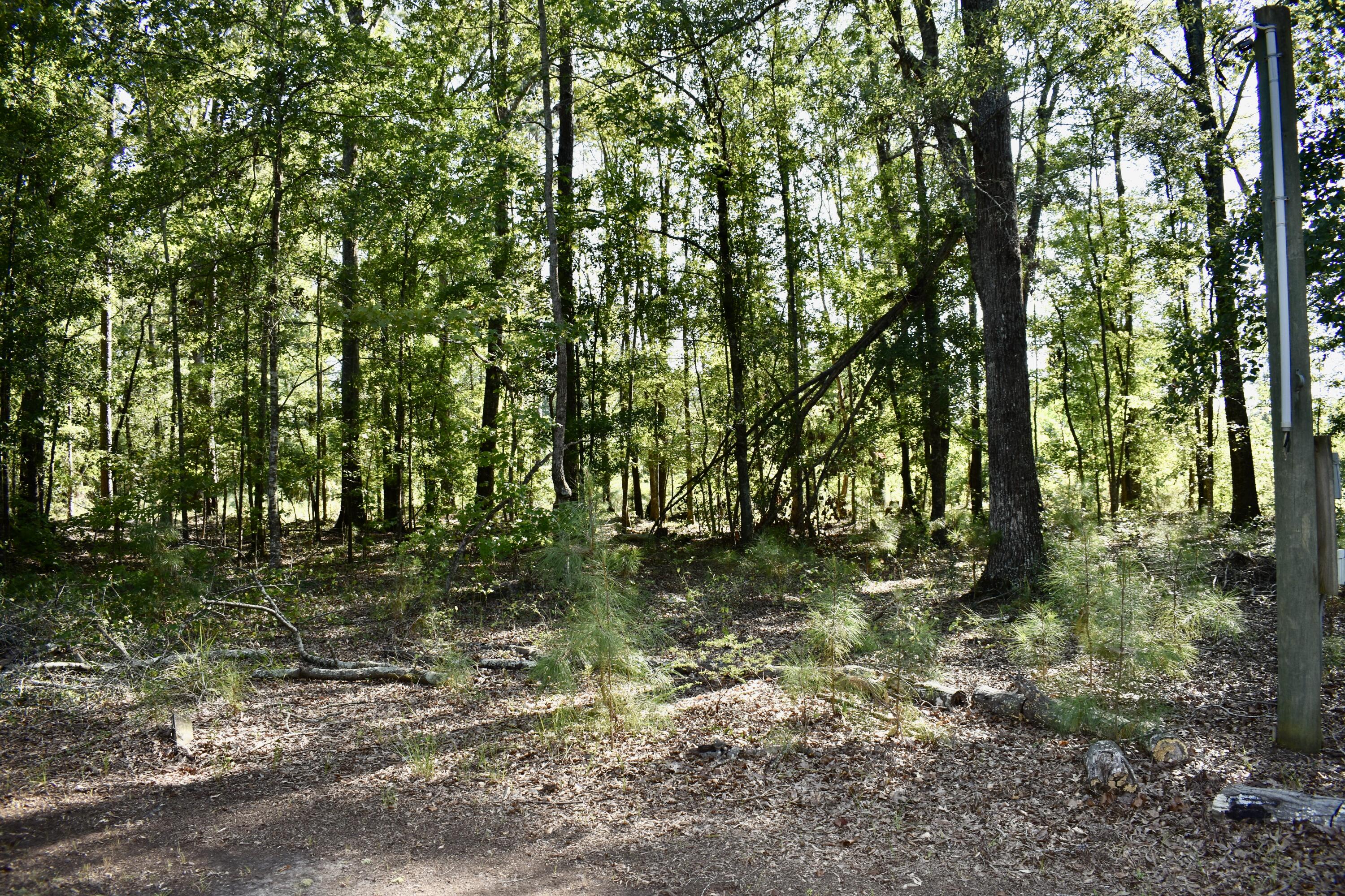 1701 Rogers Road Summerton, SC 29148 - Photo 10 of 27 DSC_0020