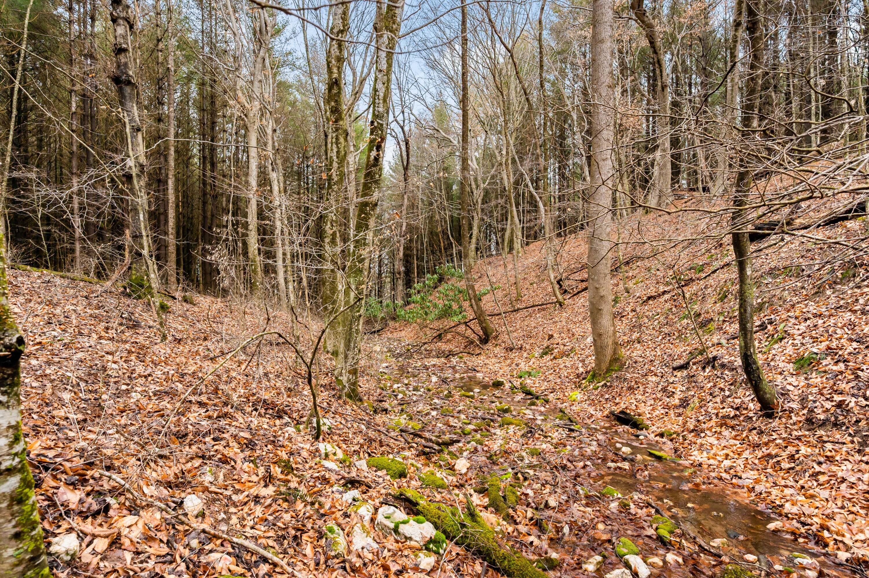 1055 Epperly Mill Road Southwest Floyd, VA 24091 - Photo 1 of 43 a view of a yard with trees