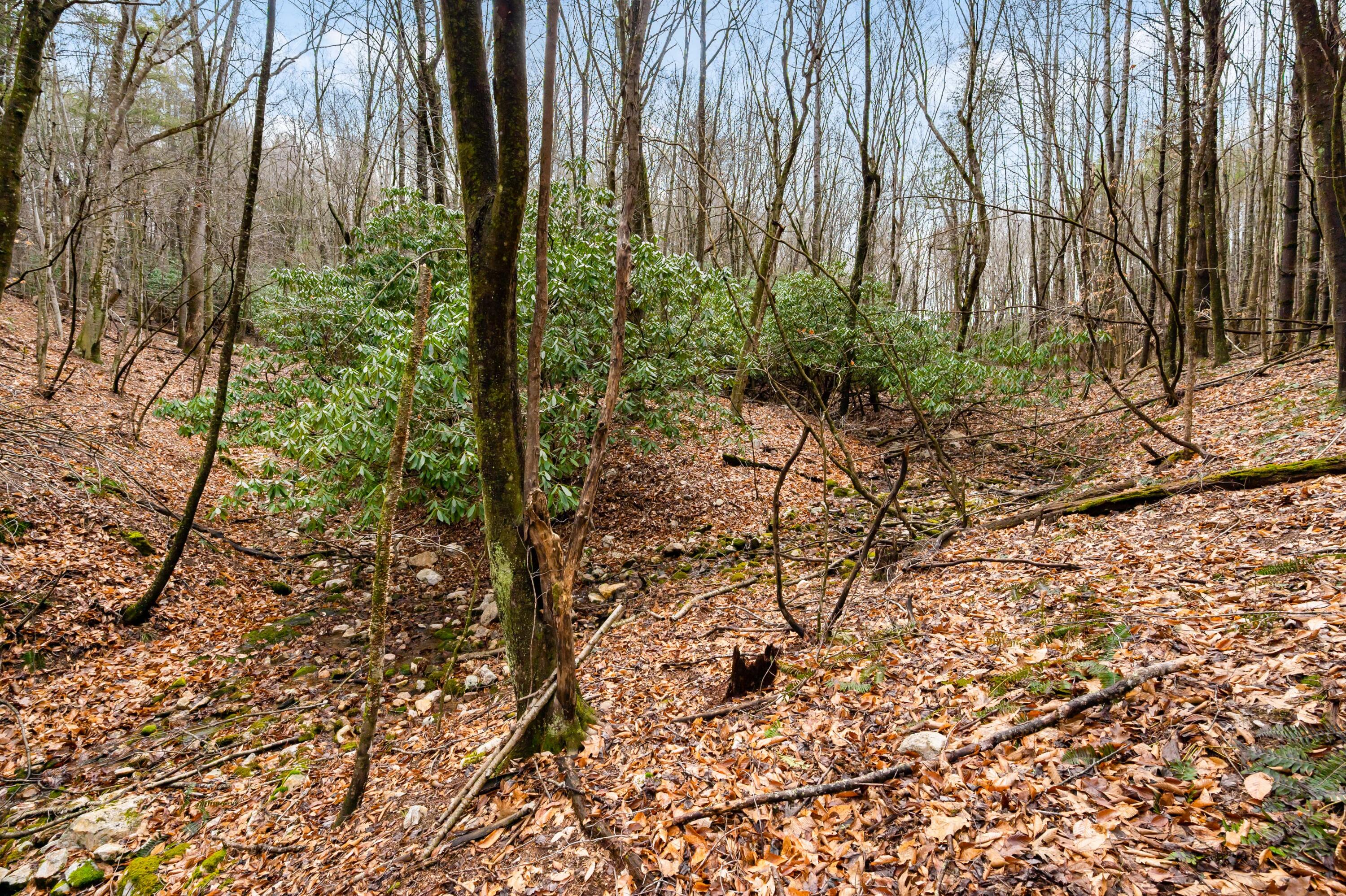 1055 Epperly Mill Road Southwest Floyd, VA 24091 - Photo 34 of 43 a view of backyard