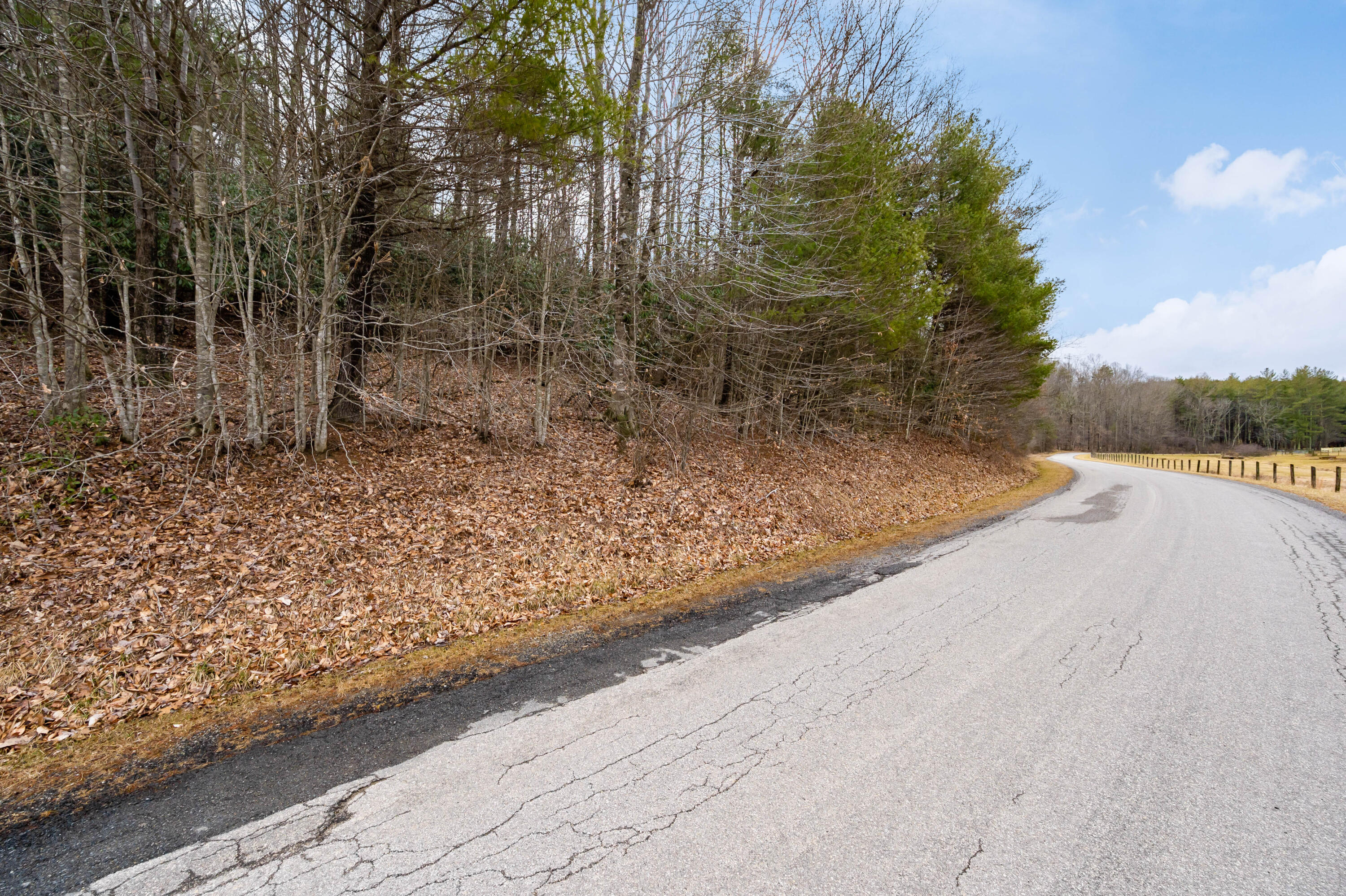 1055 Epperly Mill Road Southwest Floyd, VA 24091 - Photo 42 of 43 a view of a yard with trees in the background