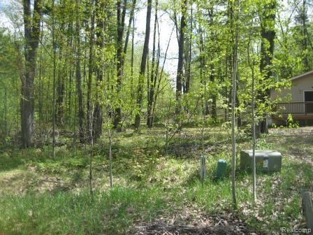 4923 West Dort Road Roscommon, MI 48653 - Photo 6 of 14 IMG_5601.JPG