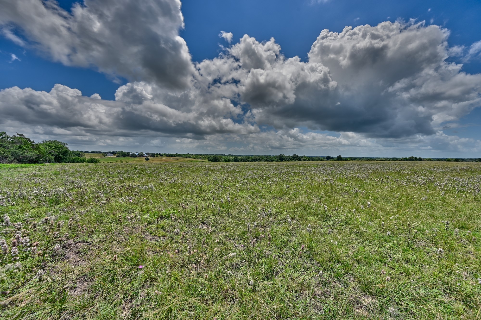 5208 Mensik Road Schulenburg, TX 78956 - Photo 8 of 18 a view of a lake in middle of the forest