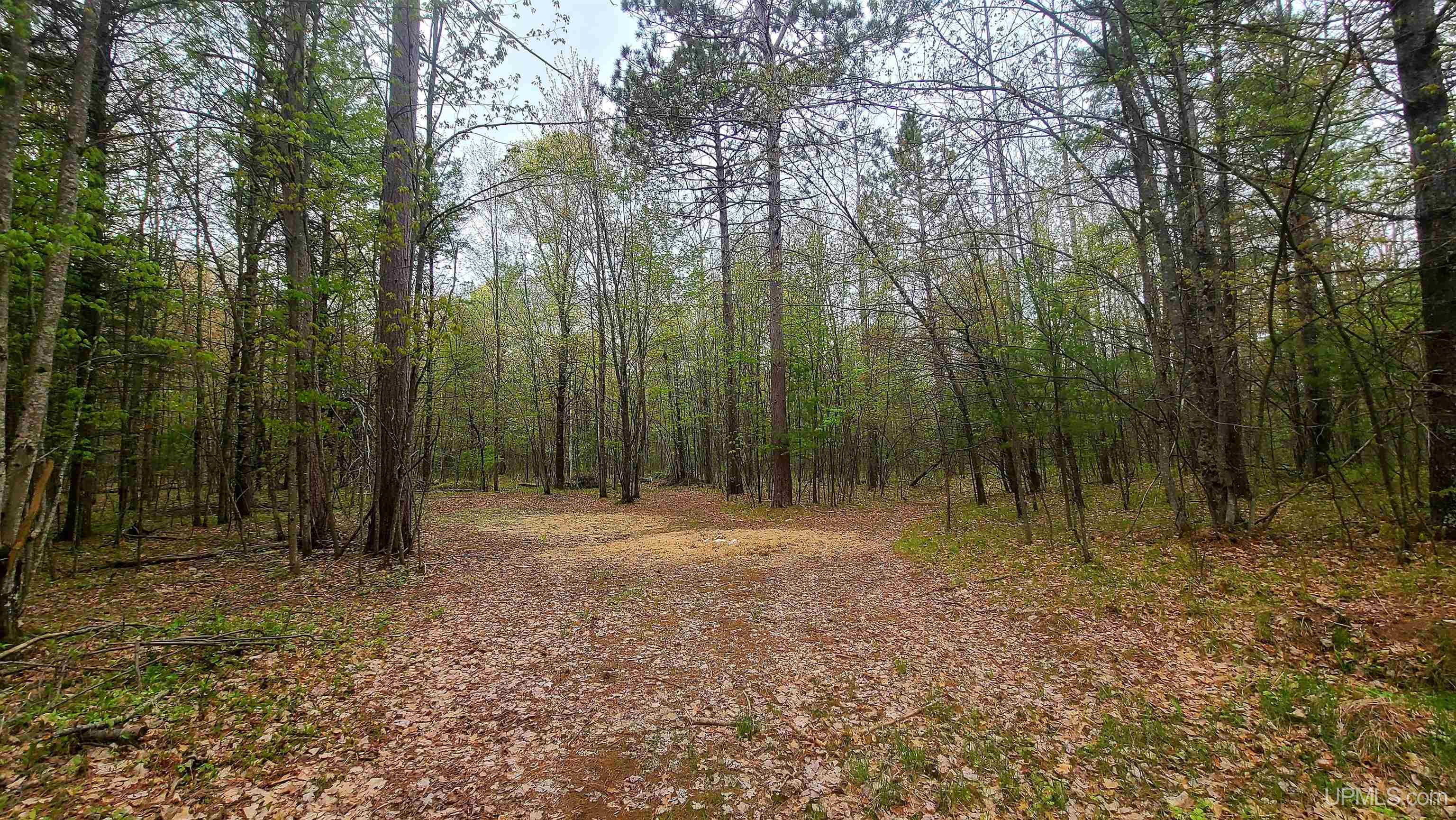 N18733 Short Cut Road Pembine, WI 54156 - Photo 49 of 63 Gallery Image 49