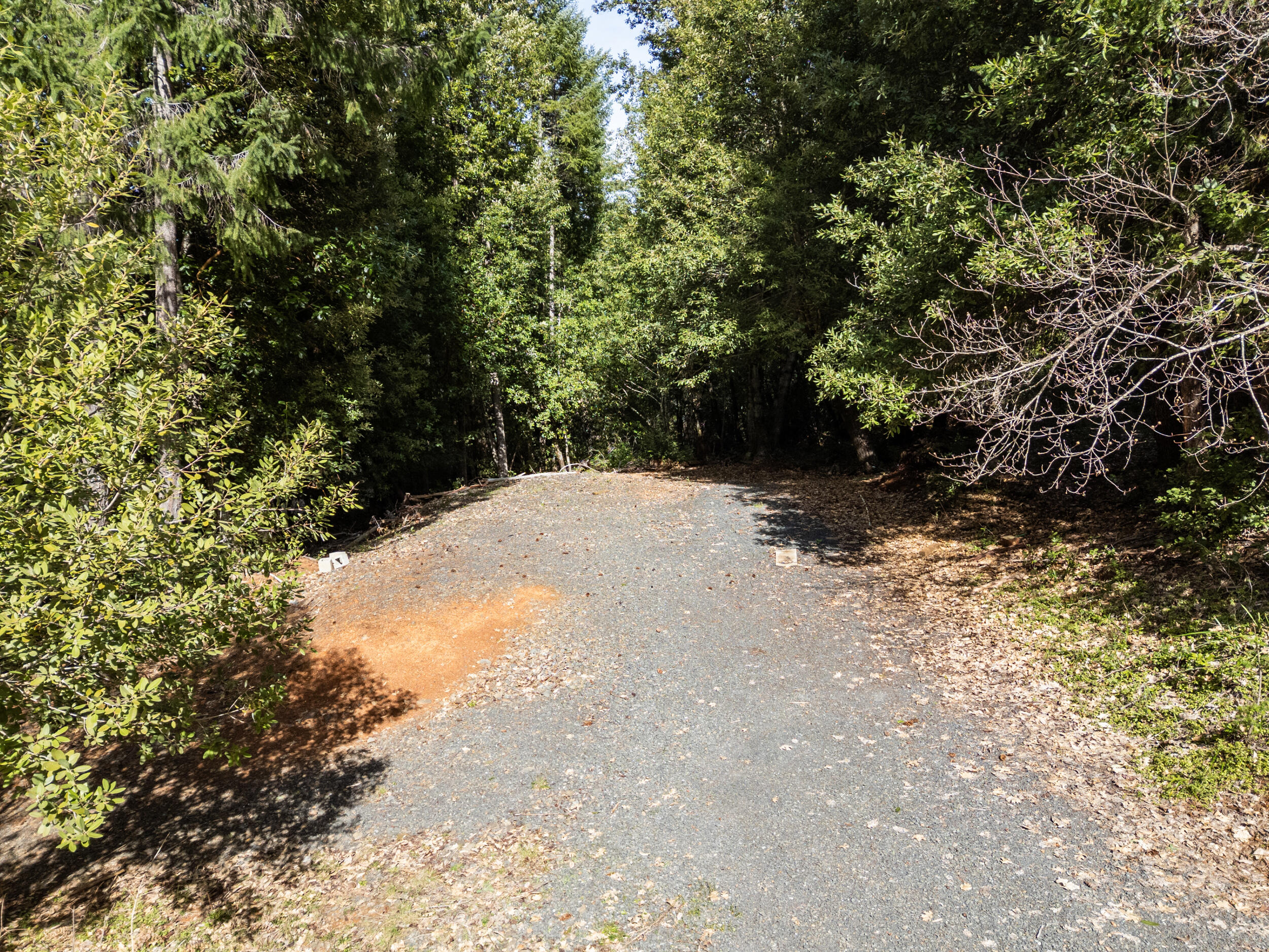 1259 Waldo Road Cave Junction, OR 97523 - Photo 42 of 46 39_1259 waldo rd, o'brien, or 97534-dr-1
