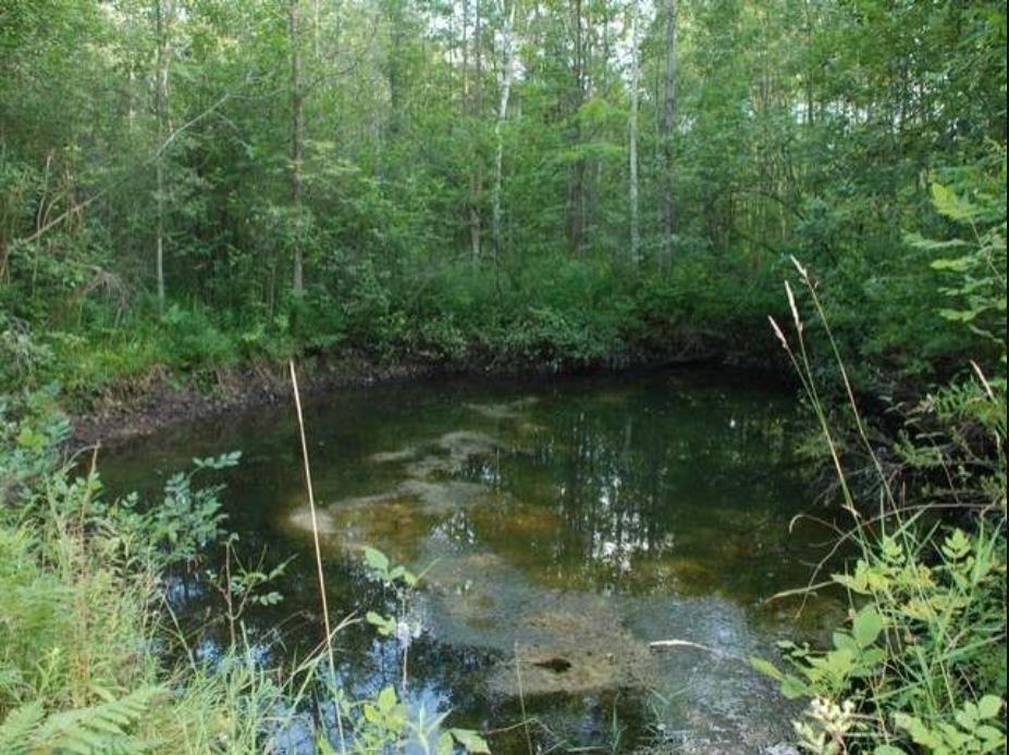 40-acres Sugar River Road Gladwin, MI 48624 - Photo 12 of 33